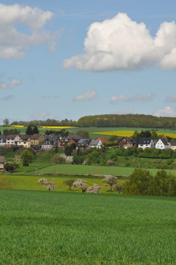Ferienwohnung Roter Kater Am Nationalpark Eifel Bergbuir ภายนอก รูปภาพ